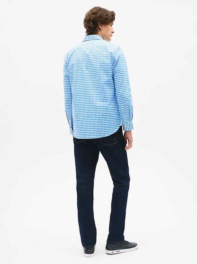 Camisa Oxford de cuadros vichy de corte regular Camisa Oxford de cuadros vichy de corte regular