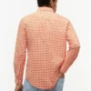 Camisa Oxford de cuadros vichy de corte regular Camisa Oxford de cuadros vichy de corte regular