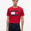 Camiseta con gran logotipo de bandera Camiseta con gran logotipo de bandera