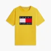 Camiseta con gran logotipo de bandera Camiseta con gran logotipo de bandera