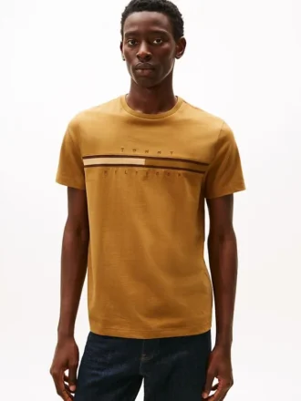 Camiseta con logotipo de bandera en tonos Camiseta con logotipo de bandera en tonos