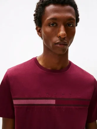 Camiseta con logotipo de bandera en tonos