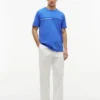 Camiseta con logotipo de bandera en tonos