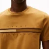 Camiseta con logotipo de bandera en tonos