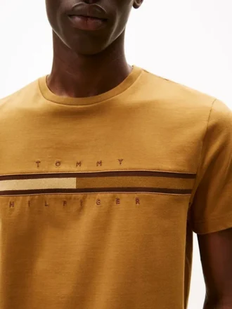 Camiseta con logotipo de bandera en tonos Camiseta con logotipo de bandera en tonos
