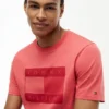 Camiseta con logotipo de bandera en tonos