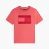Camiseta con logotipo de bandera en tonos