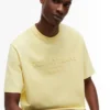 Camiseta con logotipo desgastado de Tommy Jeans