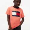 Camiseta infantil Tommy con el logotipo de la bandera Camiseta infantil Tommy con el logotipo de la bandera