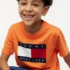 Camiseta infantil Tommy con el logotipo de la bandera Camiseta infantil Tommy con el logotipo de la bandera