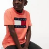 Camiseta infantil Tommy con el logotipo de la bandera Camiseta infantil Tommy con el logotipo de la bandera