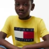 Camiseta infantil Tommy con el logotipo de la bandera Camiseta infantil Tommy con el logotipo de la bandera