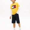 Camiseta infantil Tommy con el logotipo de la bandera Camiseta infantil Tommy con el logotipo de la bandera