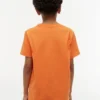 Camiseta infantil Tommy con el logotipo de la bandera Camiseta infantil Tommy con el logotipo de la bandera
