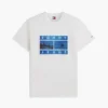 Camiseta Tommy Jeans con estampado fotográfico