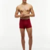 Pack de 3 calzoncillos Cotton Classics Pack de 3 calzoncillos Cotton Classics