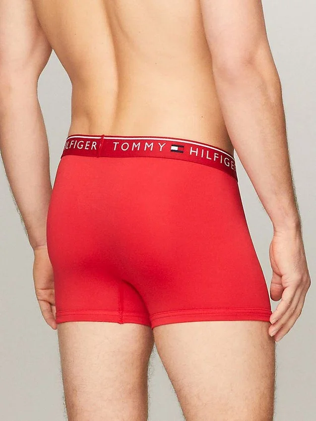 Pack de 3 calzoncillos TH Micro Pack de 3 calzoncillos TH Micro