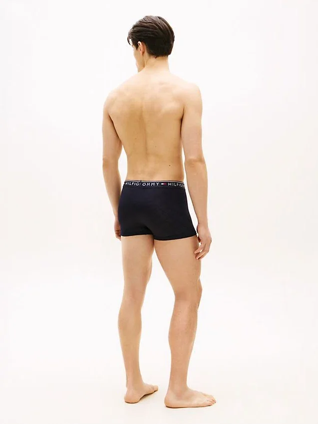 Pack de 3 calzoncillos TH Micro Pack de 3 calzoncillos TH Micro