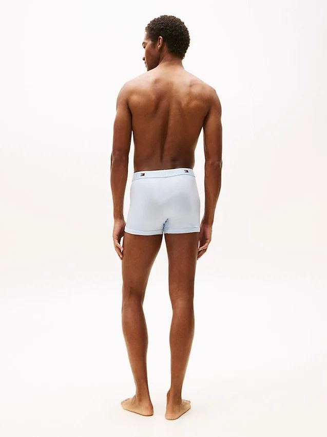 Pack de 3 calzoncillos TH Micro Pack de 3 calzoncillos TH Micro