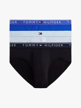 Pack de 3 slips TH Micro