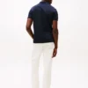 Polo de corte regular con rayas bordadas