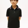 Polo Tommy Wicking para niño