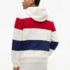 Sudadera con capucha de rayas tricolores y interior cepillado