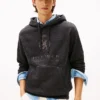 Sudadera con capucha jaspeada con el logotipo de Hilfiger Sudadera con capucha jaspeada con el logotipo de Hilfiger
