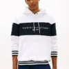 Sudadera con capucha y logo en bloques de color Sudadera con capucha y logo en bloques de color