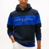 Sudadera con capucha y logo en bloques de color Sudadera con capucha y logo en bloques de color