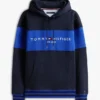 Sudadera con capucha y logo en bloques de color Sudadera con capucha y logo en bloques de color