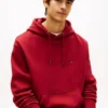 Sudadera con capucha y logotipo de bandera en la espalda