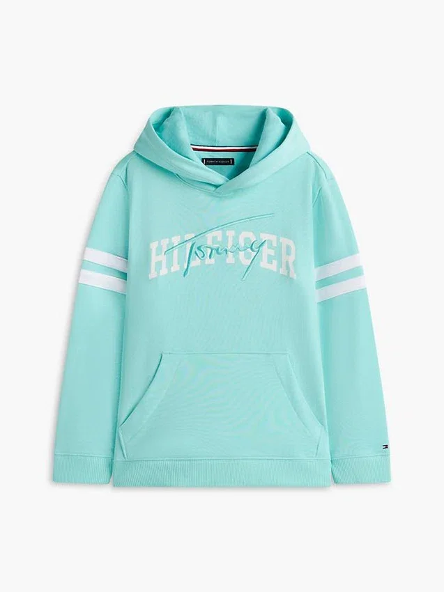 Sudadera con capucha y logotipo de Hilfiger para niños Sudadera con capucha y logotipo de Hilfiger para niños