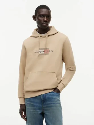 Sudadera con capucha y logotipo Script Flag