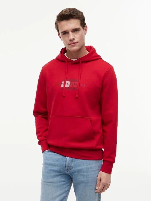 Sudadera con capucha y logotipo Script Flag Sudadera con capucha y logotipo Script Flag