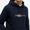 Sudadera con capucha y logotipo Script Flag Sudadera con capucha y logotipo Script Flag
