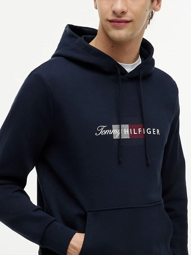 Sudadera con capucha y logotipo Script Flag Sudadera con capucha y logotipo Script Flag