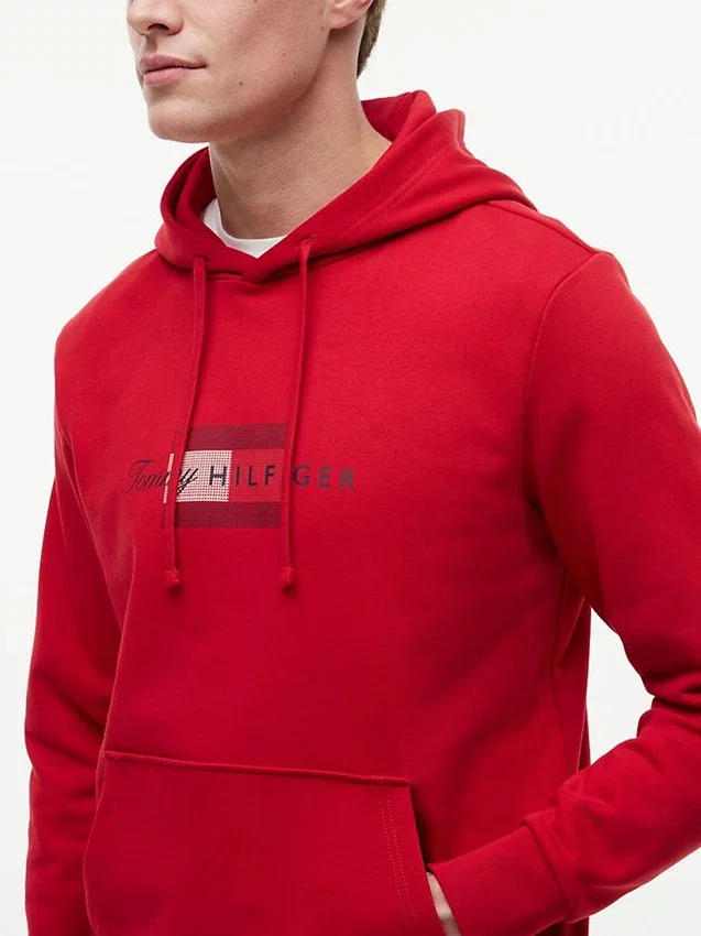 Sudadera con capucha y logotipo Script Flag Sudadera con capucha y logotipo Script Flag