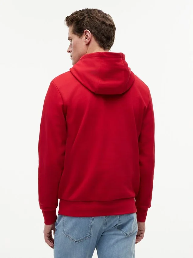 Sudadera con capucha y logotipo Script Flag Sudadera con capucha y logotipo Script Flag