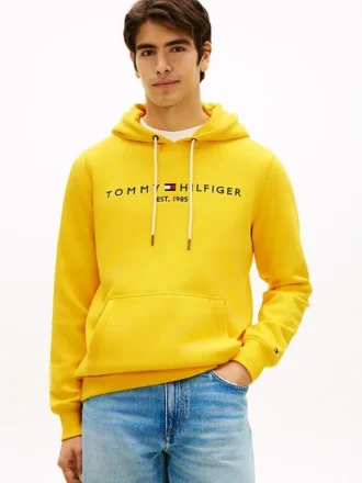 Sudadera con capucha y logotipo Tommy bordado