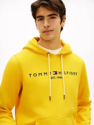 Sudadera con capucha y logotipo Tommy bordado