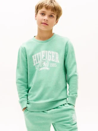 Sudadera con el logotipo Hilfiger 85 para niños