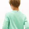 Sudadera con el logotipo Hilfiger 85 para niños Sudadera con el logotipo Hilfiger 85 para niños