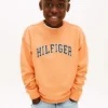 Sudadera con logotipo Varsity para niños