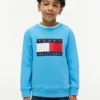 Sudadera raglán con el logotipo de Tommy Flag para niña