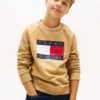 Sudadera raglán con el logotipo de Tommy Flag para niña
