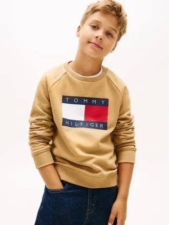 Sudadera raglán con el logotipo de Tommy Flag para niña