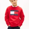 Sudadera raglán con el logotipo de Tommy Flag para niña