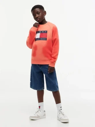 Sudadera raglán con el logotipo de Tommy Flag para niña