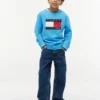 Sudadera raglán con el logotipo de Tommy Flag para niña